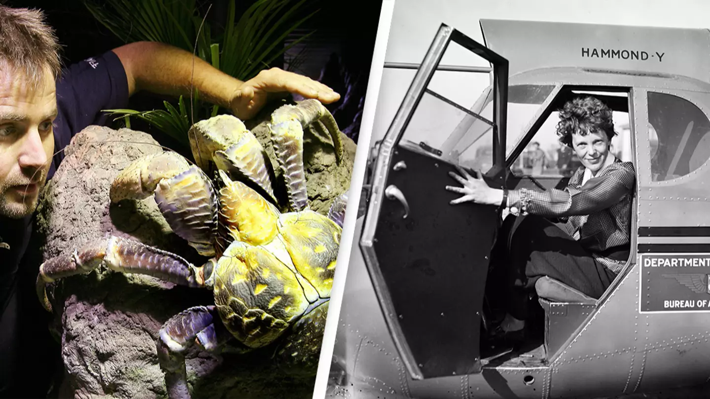 Experts propose horrifying theory that long-lost adventurer Amelia Earhart was eaten by 'world's largest crabs'