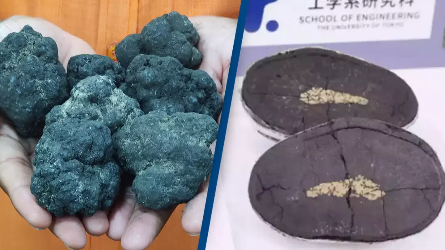 Date set for Japan's $26,300,000,000 economic boom after making 230,000,000 ton discovery