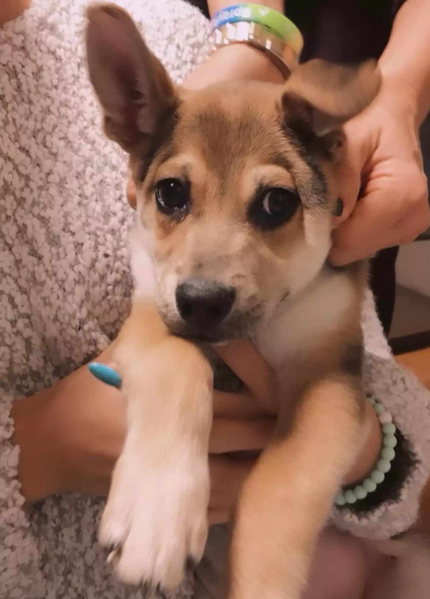 Social media users poured into the comments to offer their sympathies.