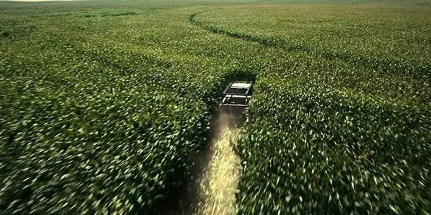 Nolan actually grew the corn fields for this scene.