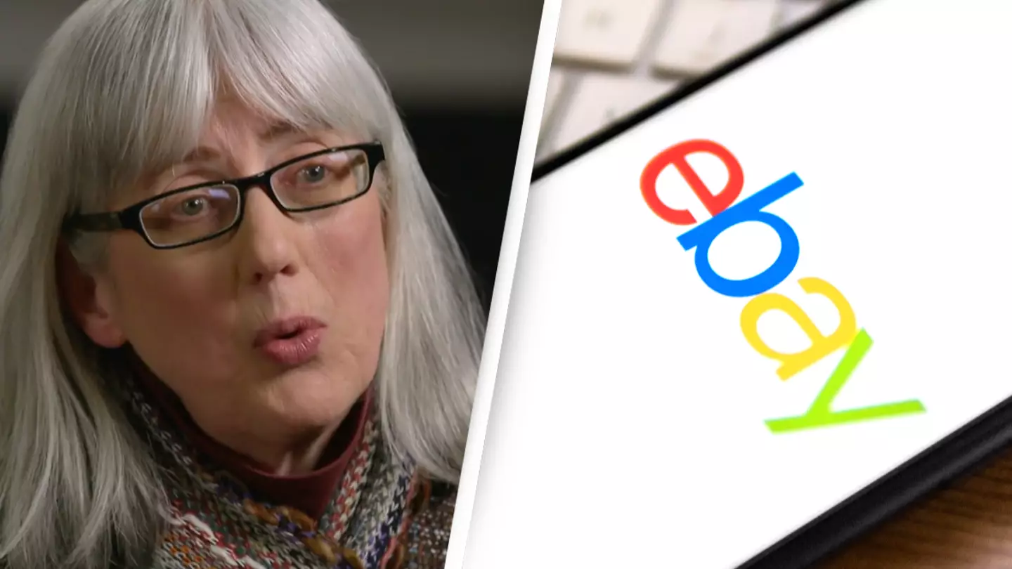 eBay forced to pay $3 million after employees sent live spiders and cockroaches to couple
