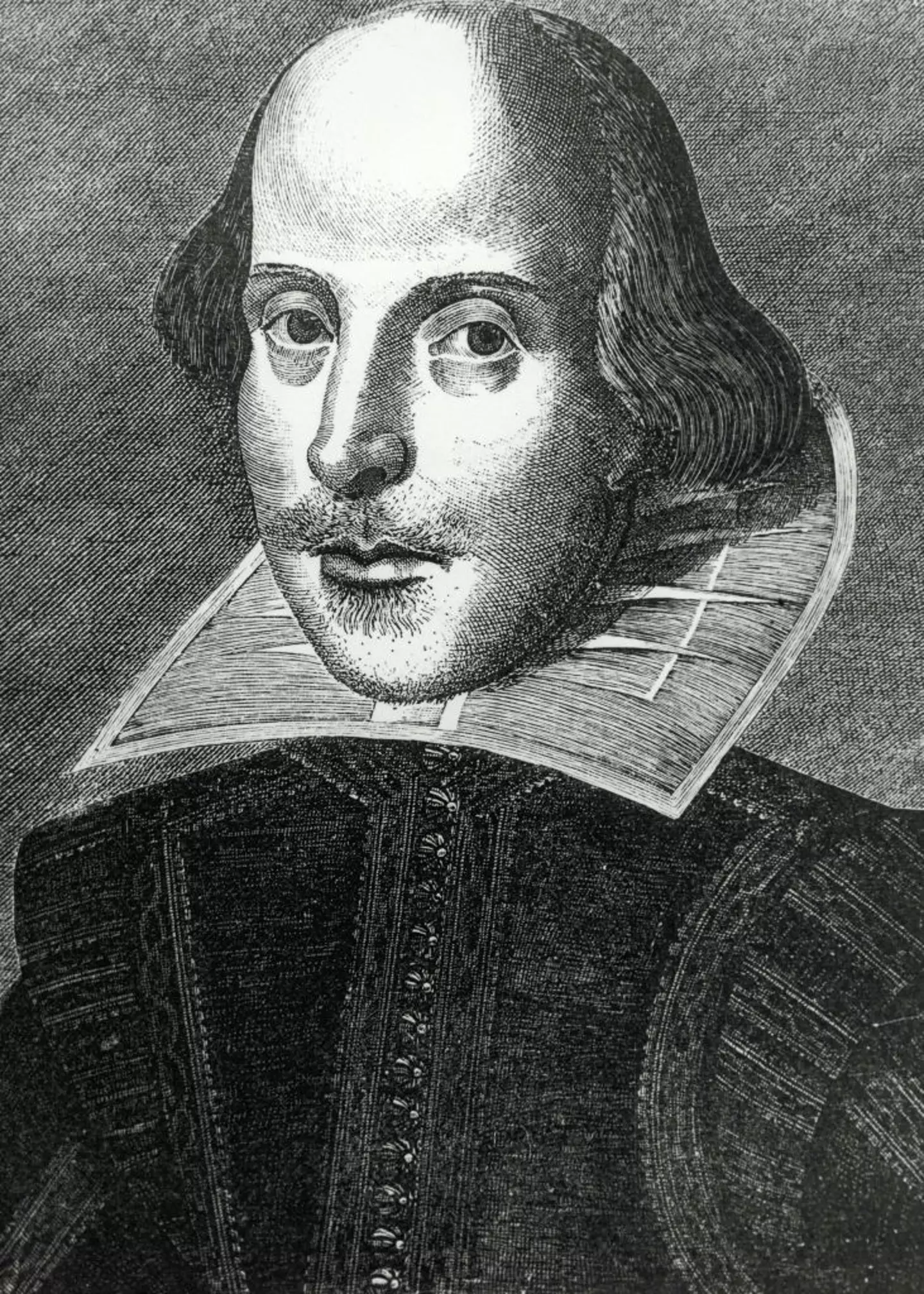 Can anyone see the resemblance between Adam Shulman and William Shakespeare?