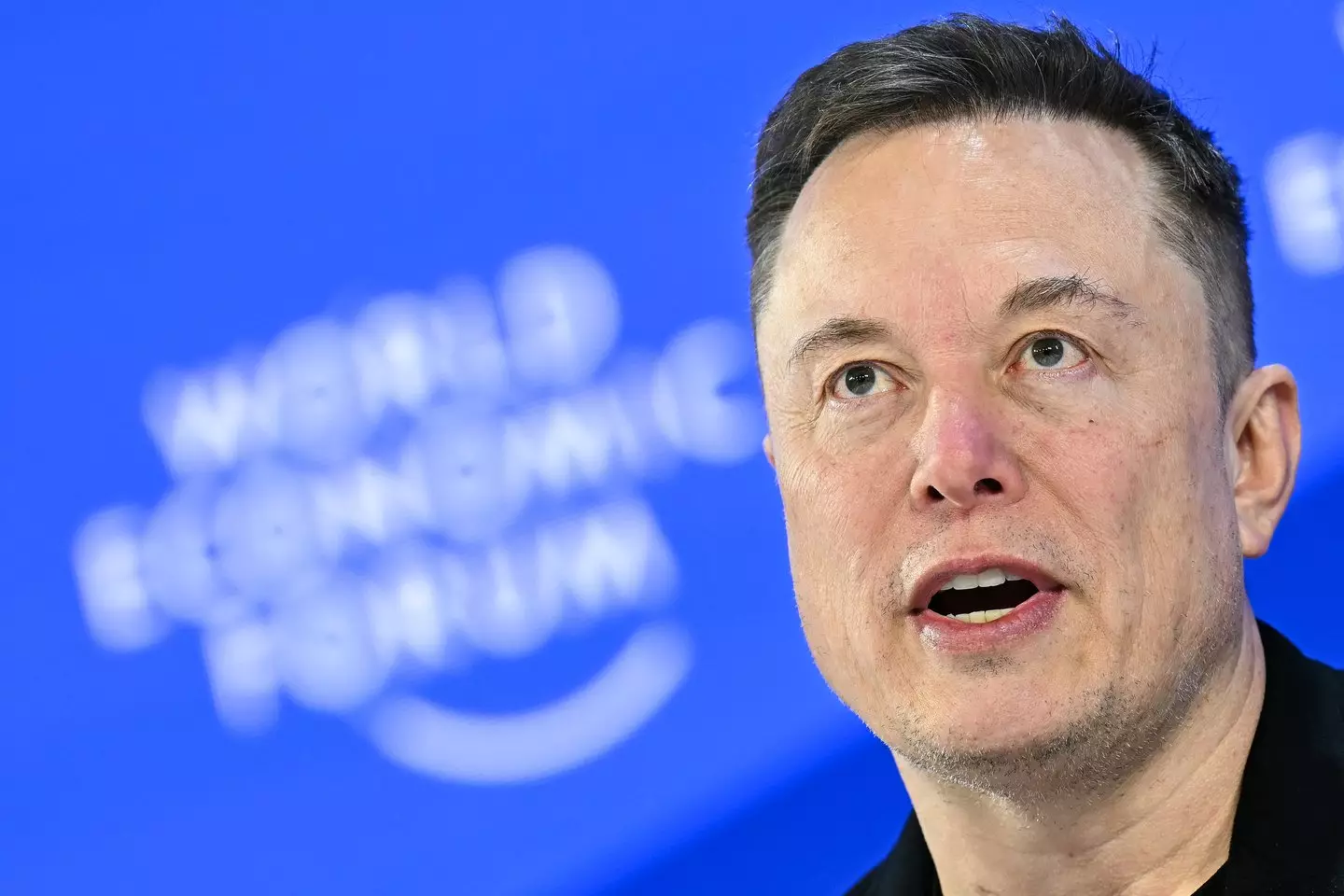 Elon Musk shared what he thinks the future holds for AI (Fabrice COFFRINI / AFP via Getty Images)