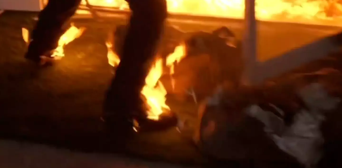 The participant was clearly on fire (MrBeast via YouTube)