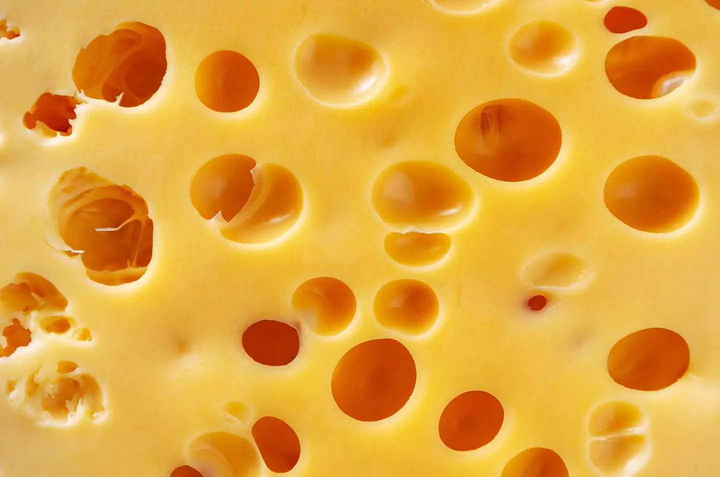People Are Only Just Discovering Real Reason Why Swiss Cheese Has Holes People Are Only Just Discovering Real Reason Why Swiss Cheese Has Holes