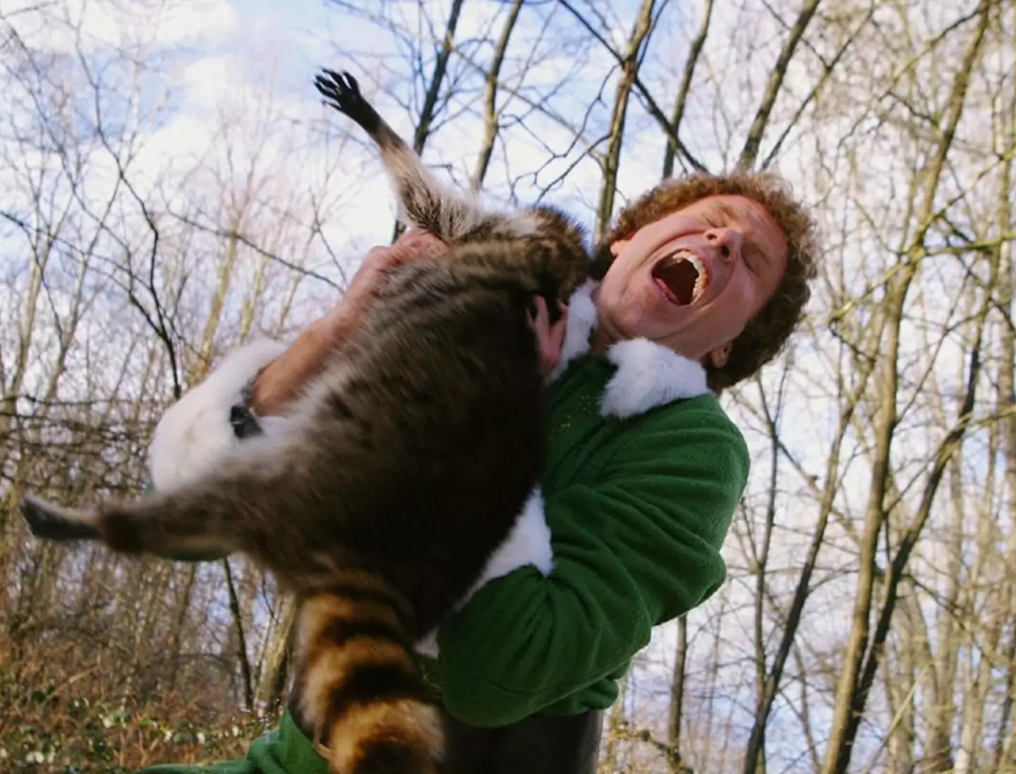 In this image, Buddy is you and the racoon is the new 'thriller' trailer for the movie.