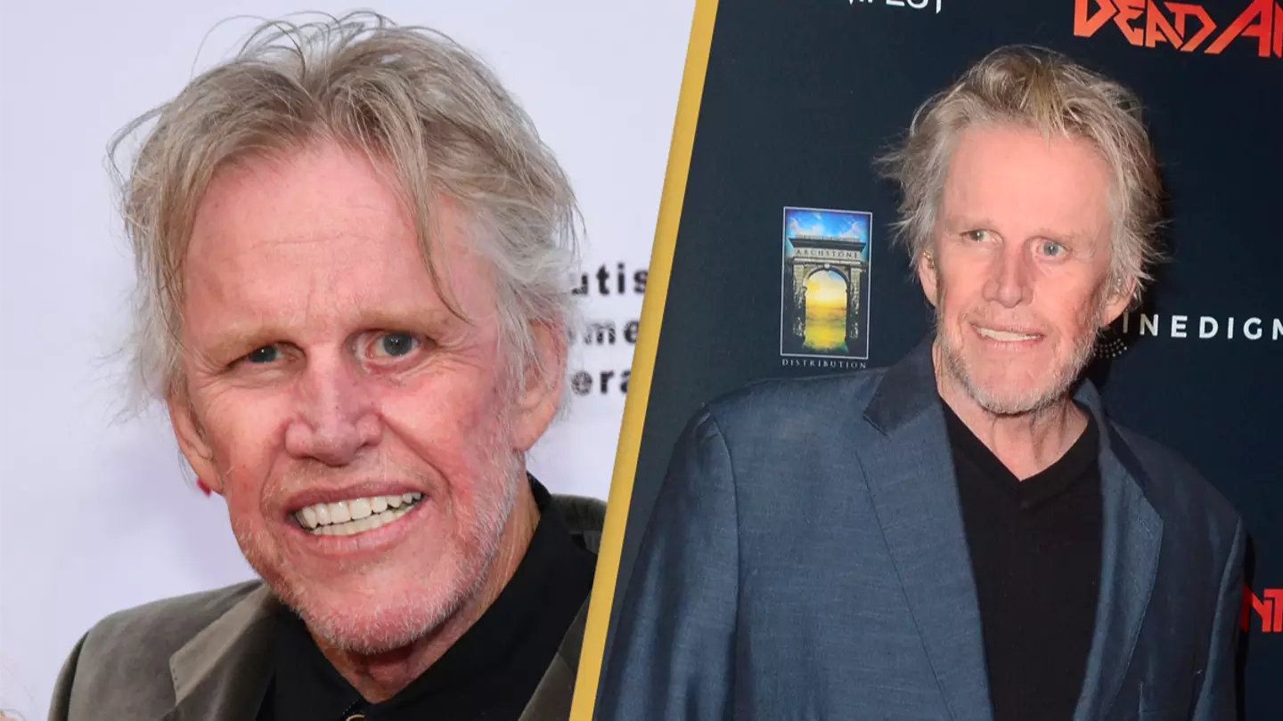Actor Gary Busey charged with sex crimes at Monster-Mania Convention