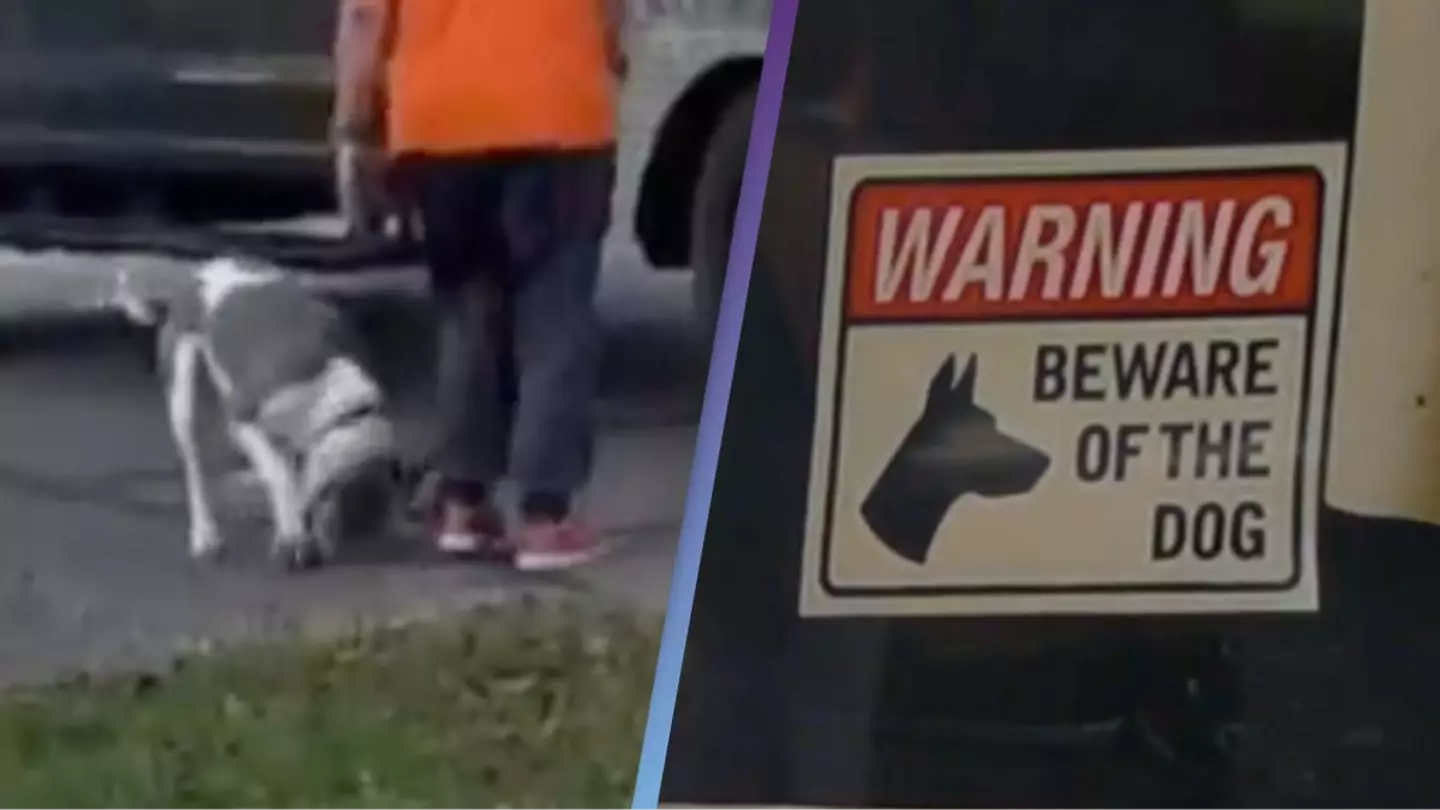 Woman is partially eaten by neighbor's dogs after falling in the driveway