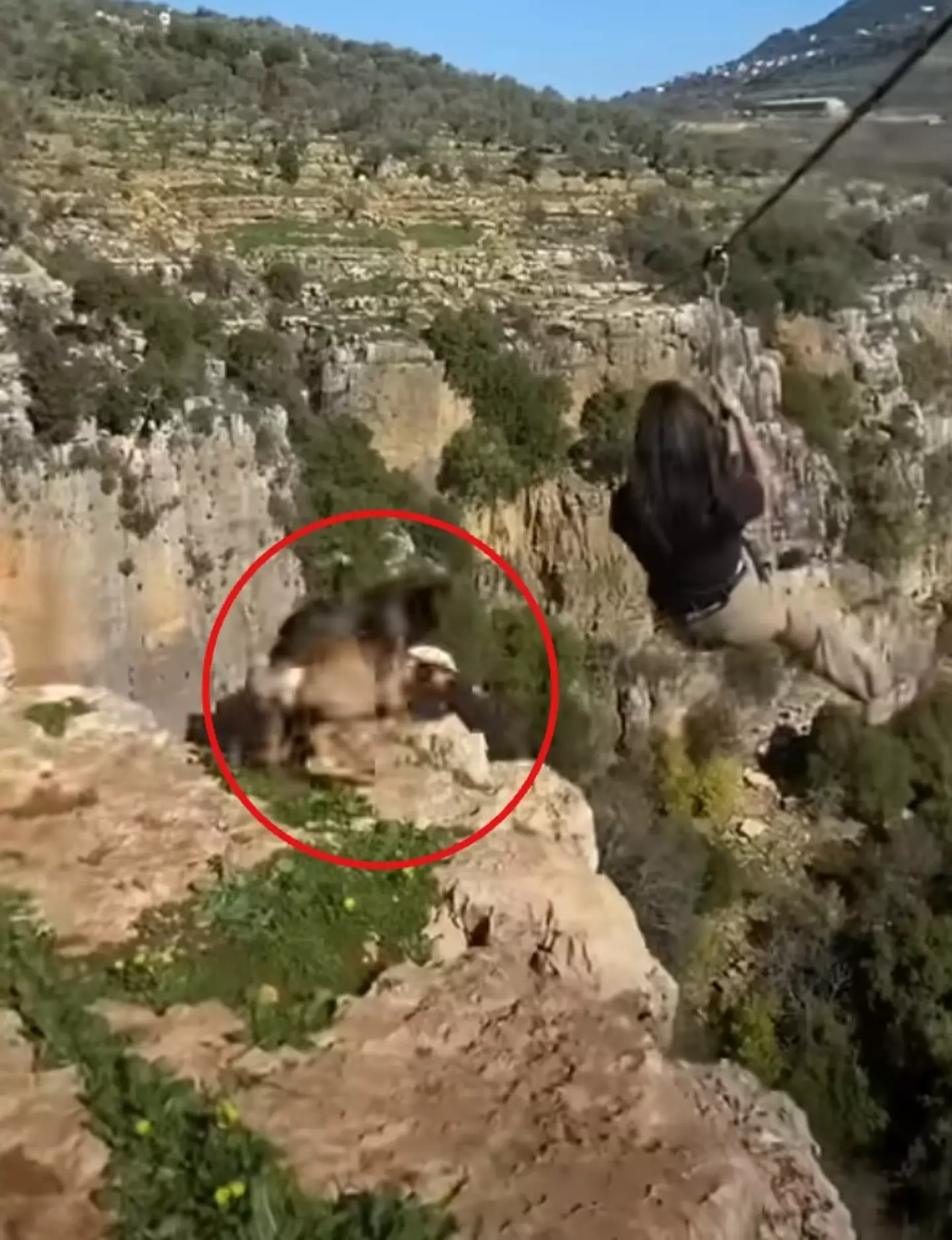 People feared the dog was going to jump off the cliff to follow the woman.