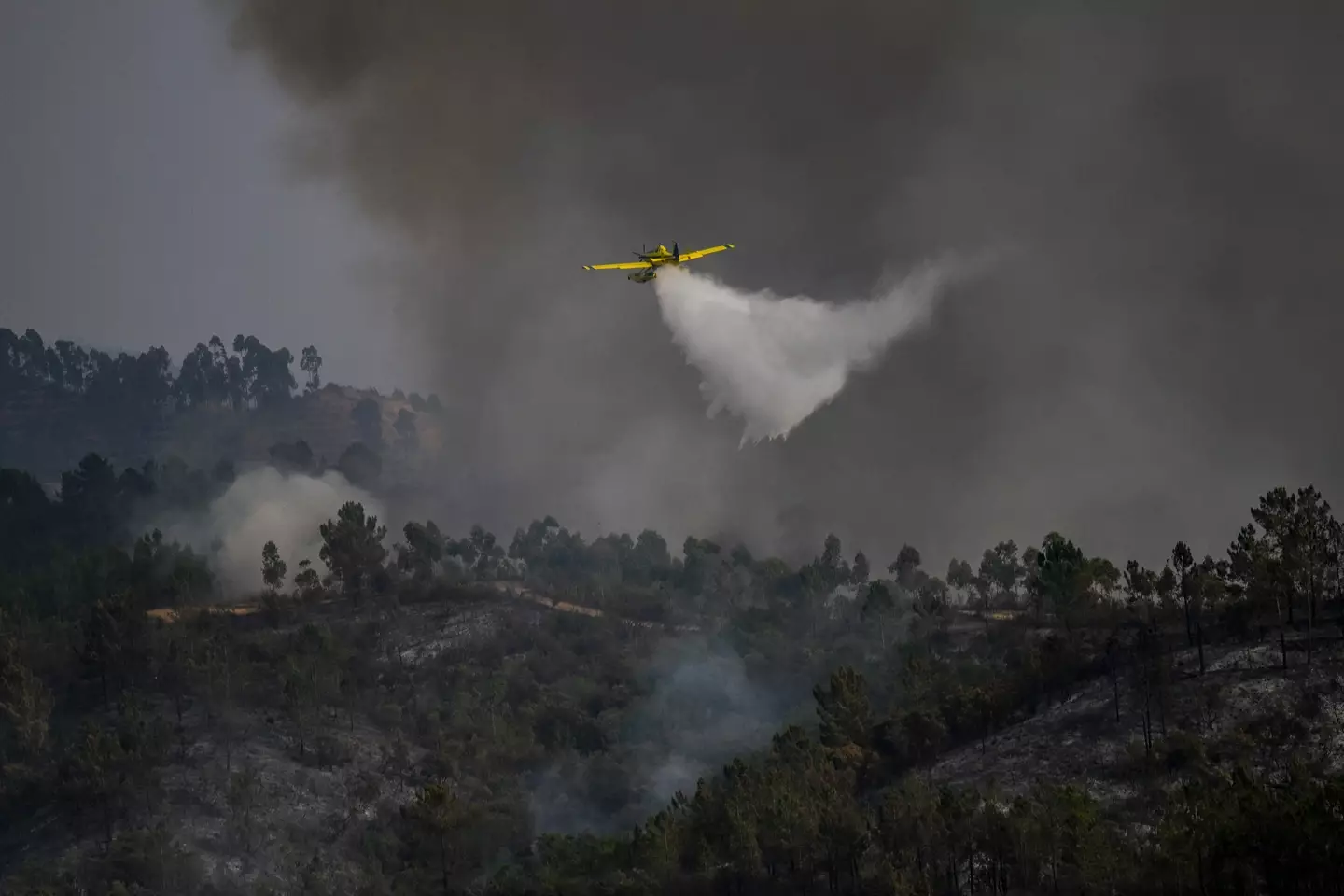 The water was dropped from the plane to tackle a bushfire.