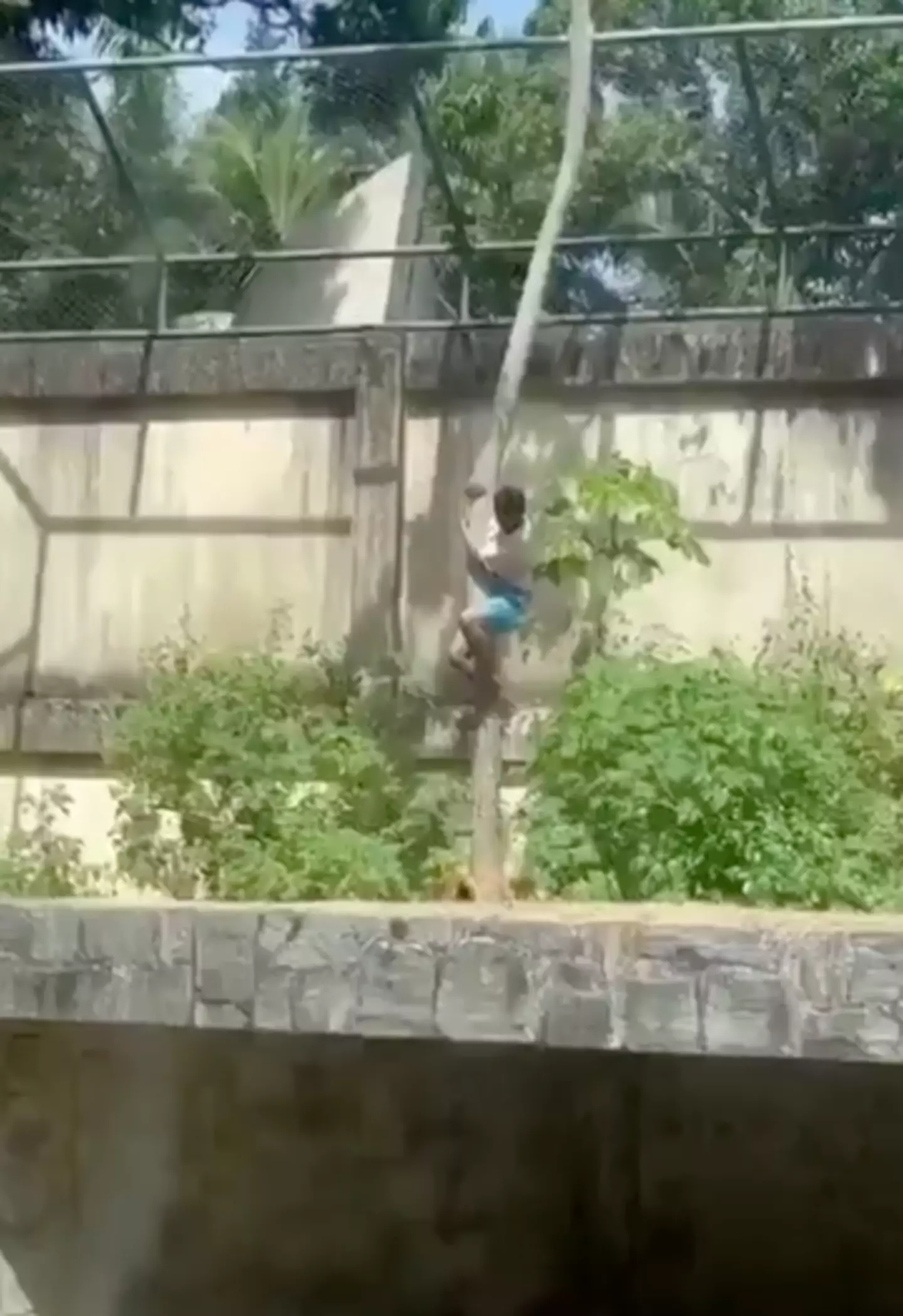 The harrowing footage went viral online (X)