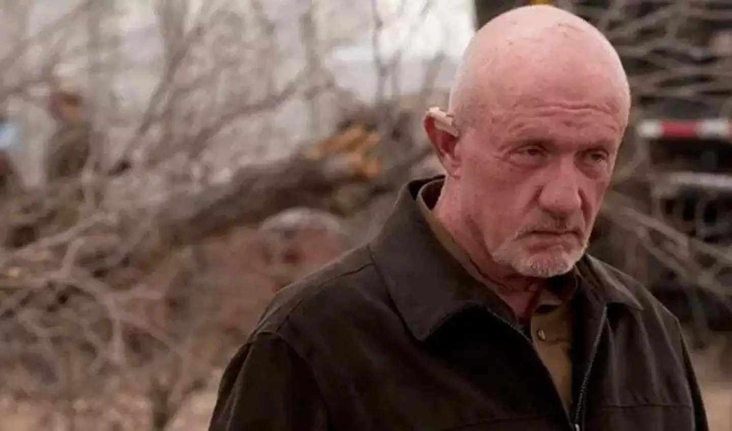 Jonathan Banks first appeared as Mike Ehrmantraut in season two.