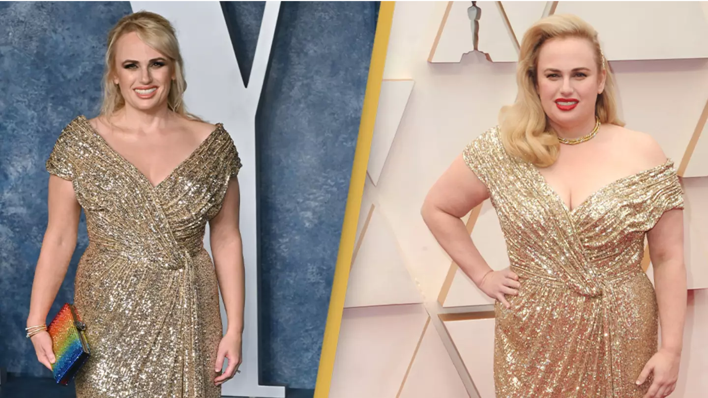 Rebel Wilson praised for re-wearing the same Oscars gown from three years ago
