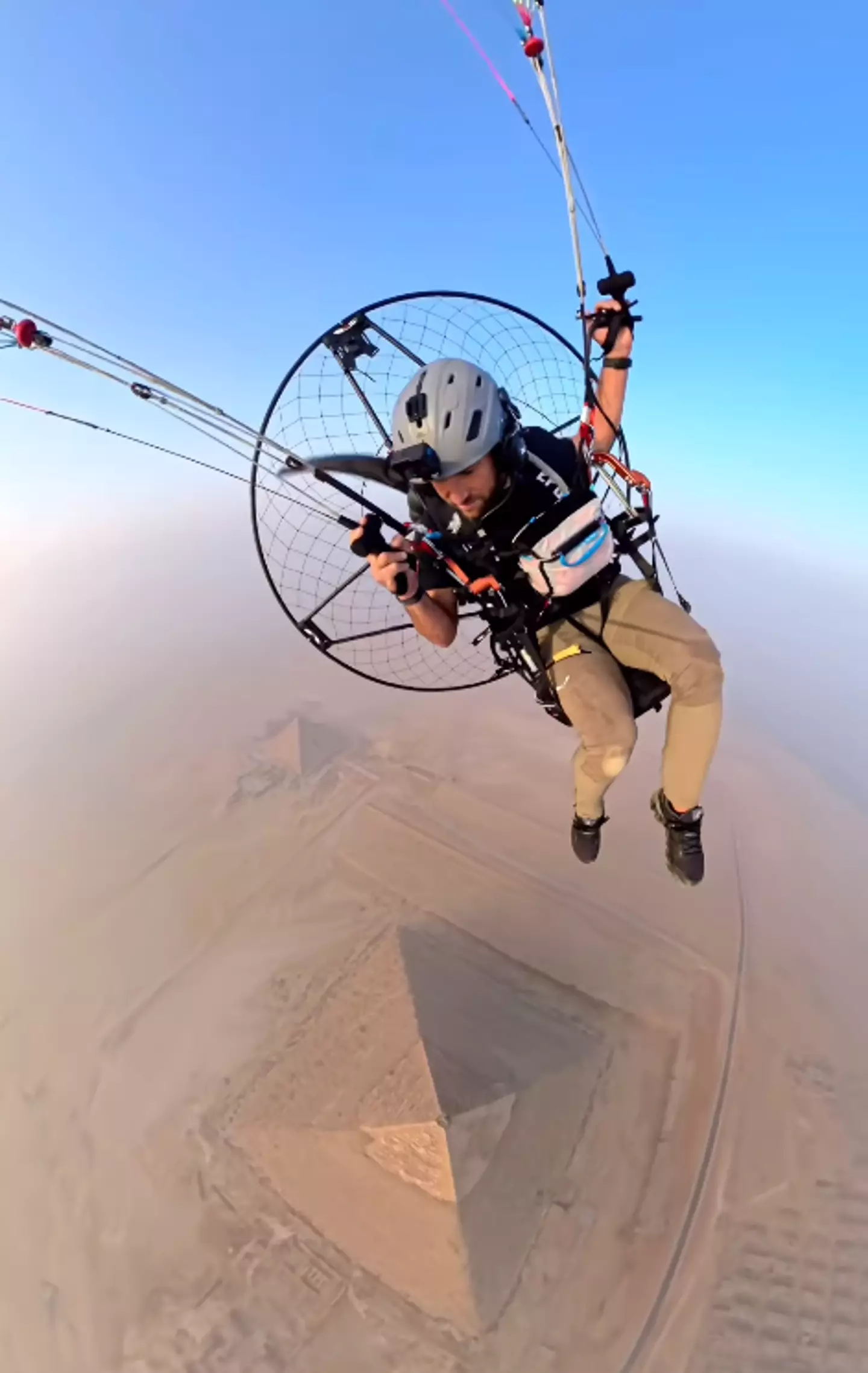 Alex spotted the dog and started recording (Instagram/@marshallmosher)