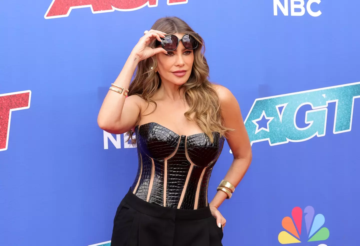 Vergara would have had more procedures if she had time. (Kevin Winter/Getty Images)