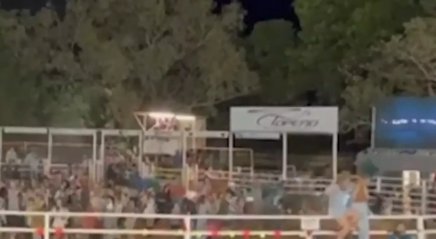 A crowd of people were line dancing at a rodeo when a bull got into the pen and started running around.