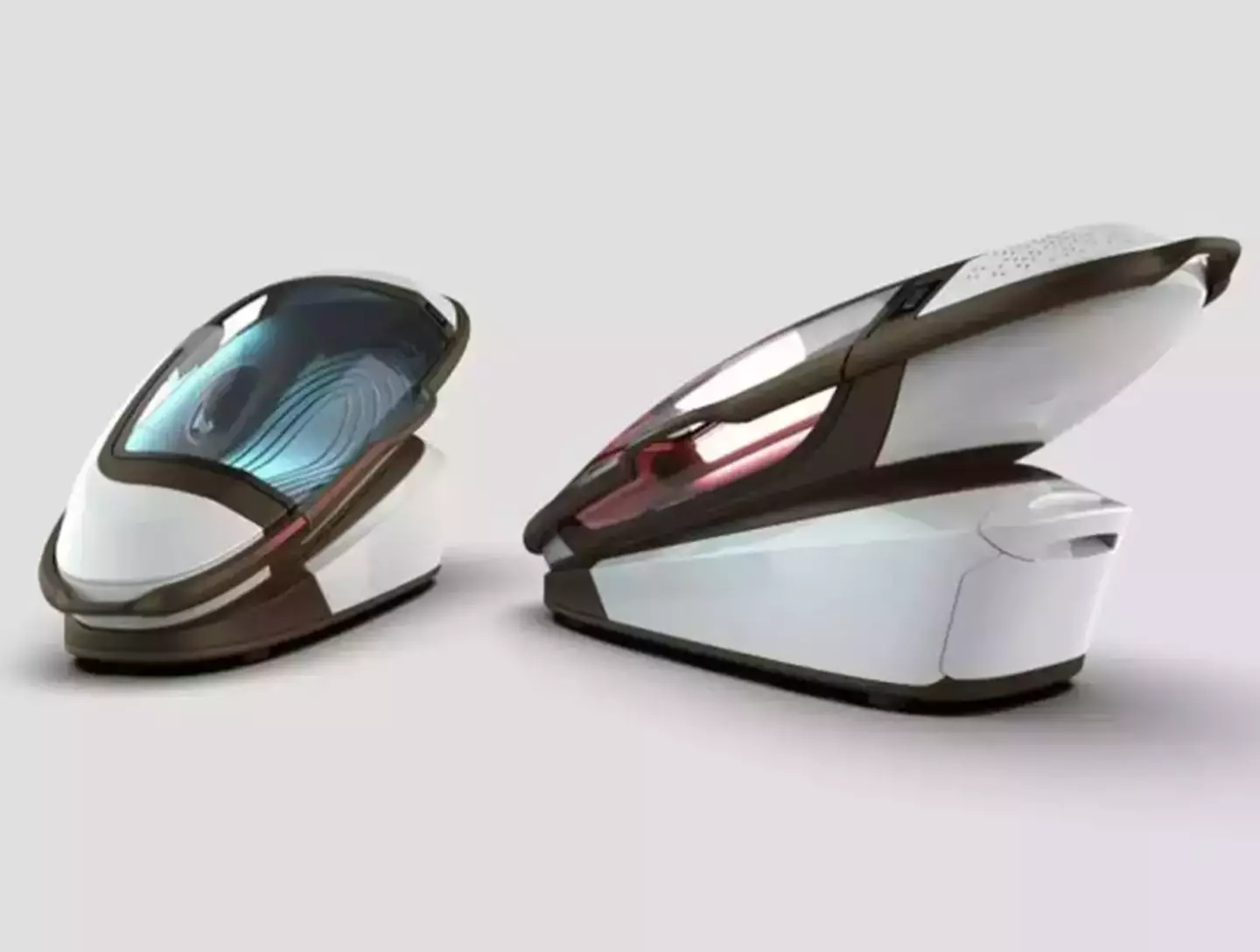 A lot of backlash has come following the unveiling of the suicide pod (Exit International)