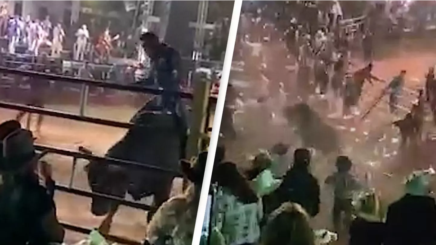 Rodeo Bull Crashes Through Barrier And Charges Spectators In VIP Stand