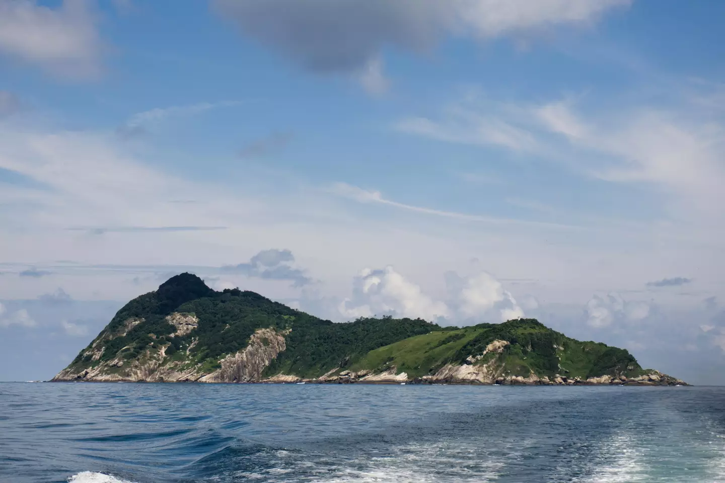 From a distance Snake Island looks like a pleasant spot in the South Atlantic, but it's the deadliest place on Earth.