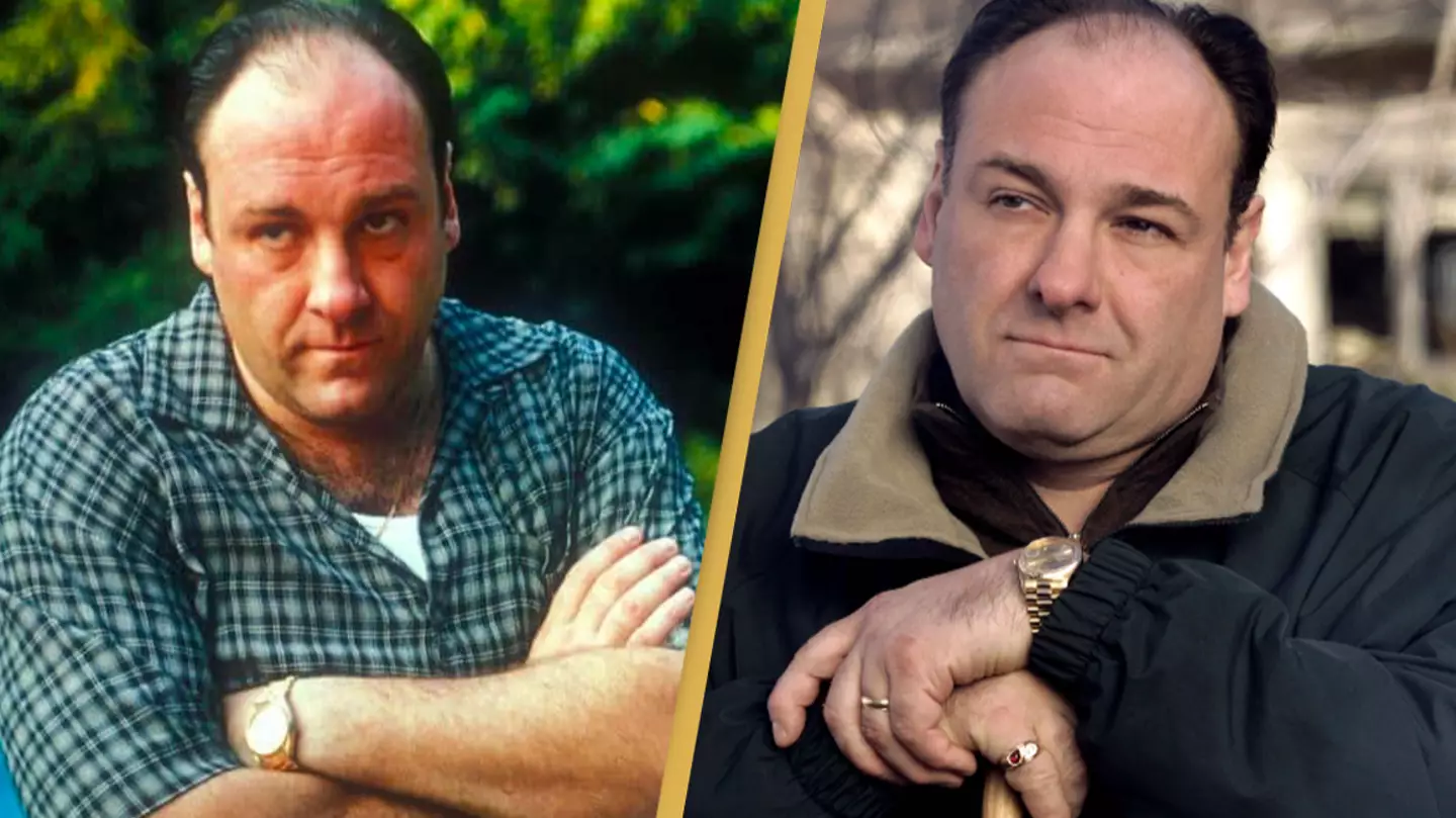 Fans Shocked To Find Out James Gandolfini's Age When He Started Filming The Sopranos