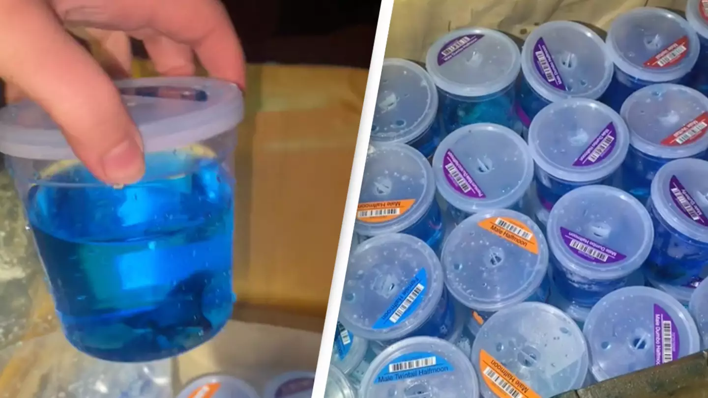 TikTok/ @ugckatehahn32