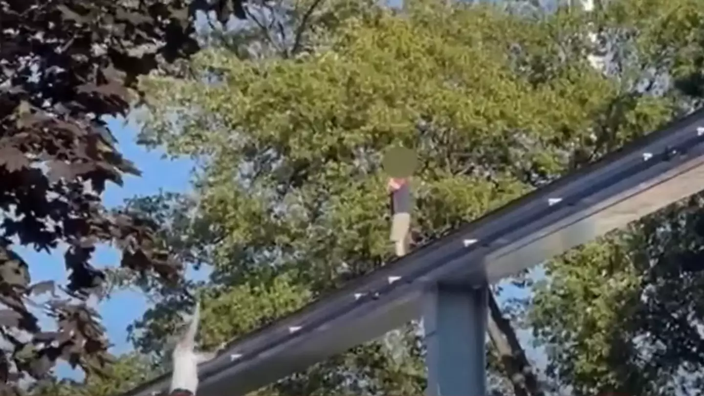 Man labeled a hero after saving missing boy stuck 100ft in air on monorail track