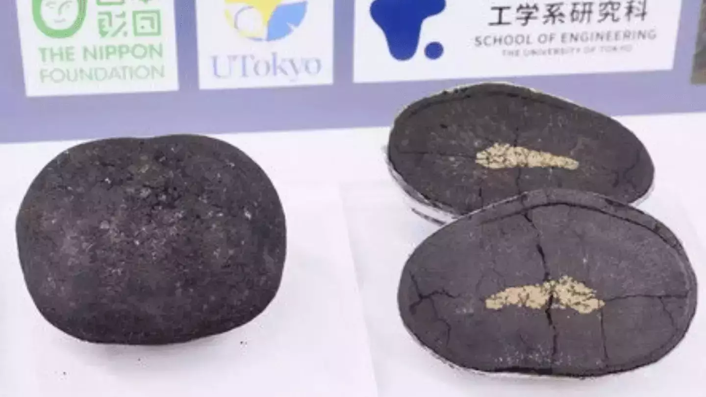 The deposits also contain copper (The Nippon Foundation)