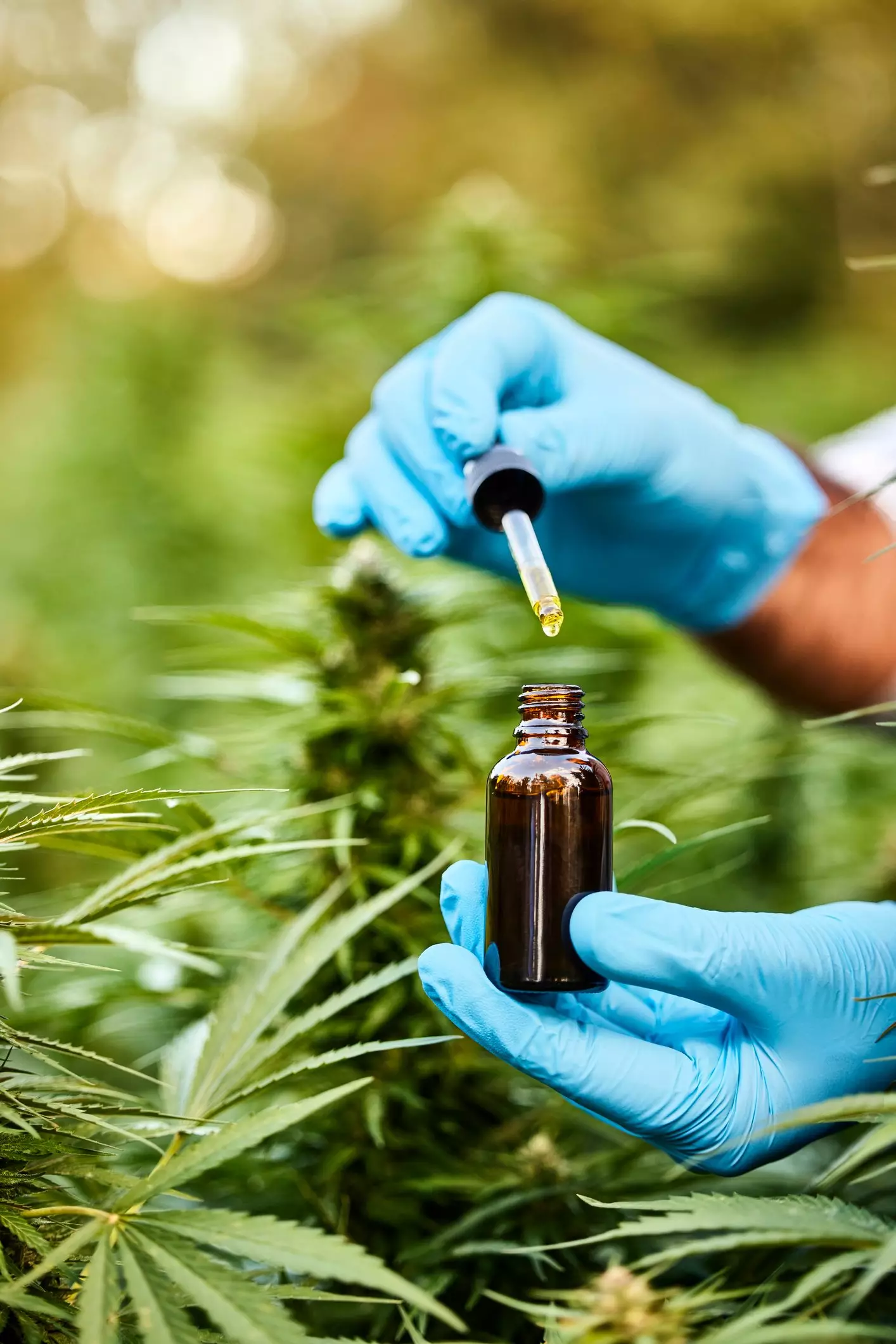 It comes as concerns have been raised about medical marijuana (Getty)