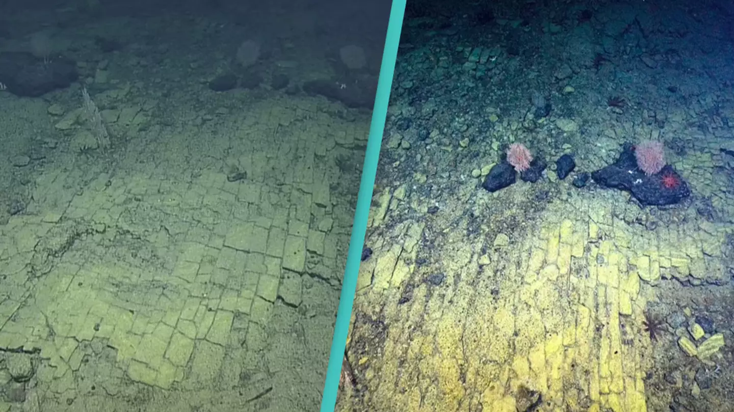 Deep Sea Researchers Spot Bizarre 'Yellow Brick Road To Atlantis' On Ocean Floor