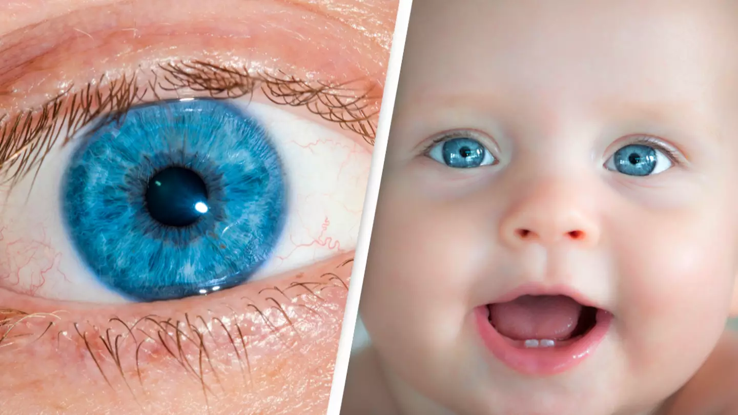 Every blue-eyed person is a descendant of one single human