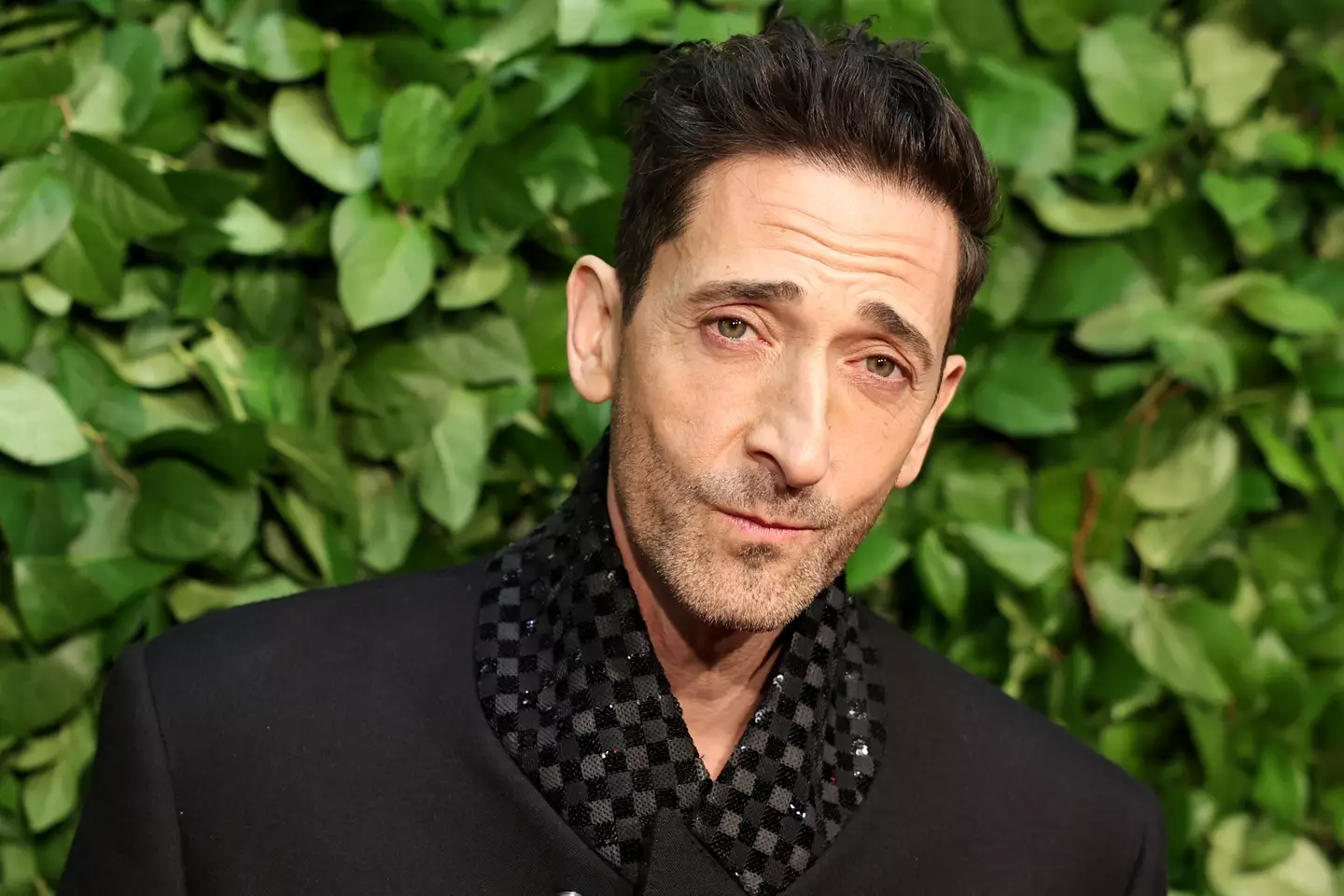 Brody admitted he's not been invited back to SNL since 2003 (Theo Wargo/Getty Images)