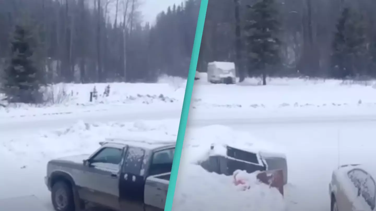 People left shaking after terrifying noise captured coming from woods in Canada