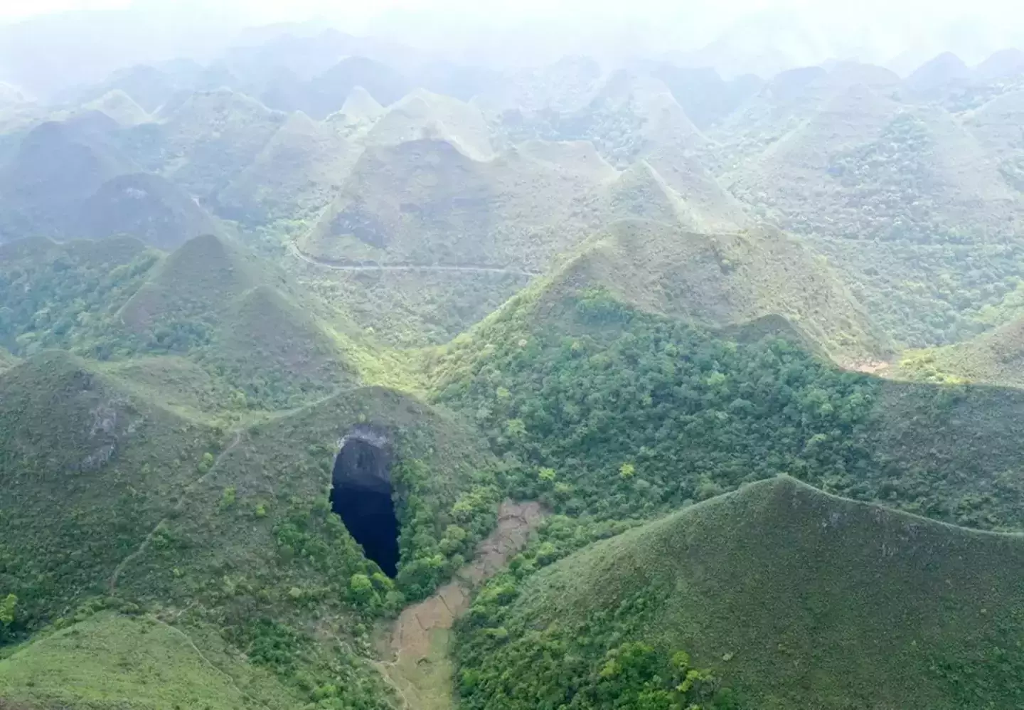 It's thought unknown plants and animals could dwell within the ancient forest (Xinhua)