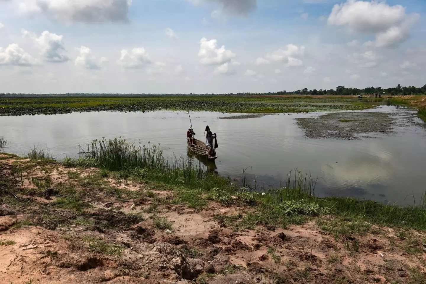 Farmers fishing in a lotus lake in the northeastern Thai province of Khon Kaen, Millions of Thais across the rural northeast regularly eat koi pla -- a local dish made of raw fish ground with spices and lime. The pungent meal is quick, cheap and tasty, but it is also a favourite feast for parasites that cause a lethal liver cancer killing up to 20,000 Thais annually (LILLIAN SUWANRUMPHA/AFP via Getty Images)