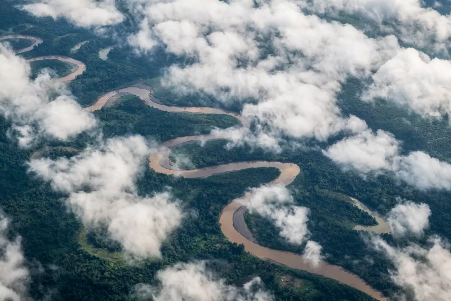 Dara Tah visited a tribe in Papua (Getty Stock Images)
