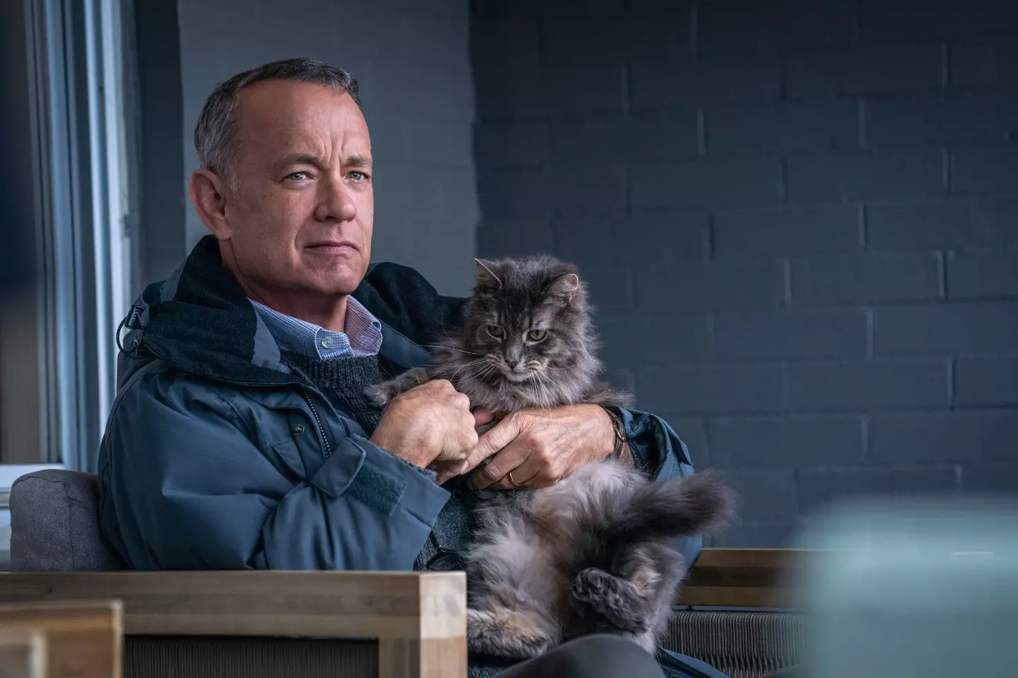 Tom Hanks and a cat, who we have decided is named Reginald because the pic credit didn't have his name.