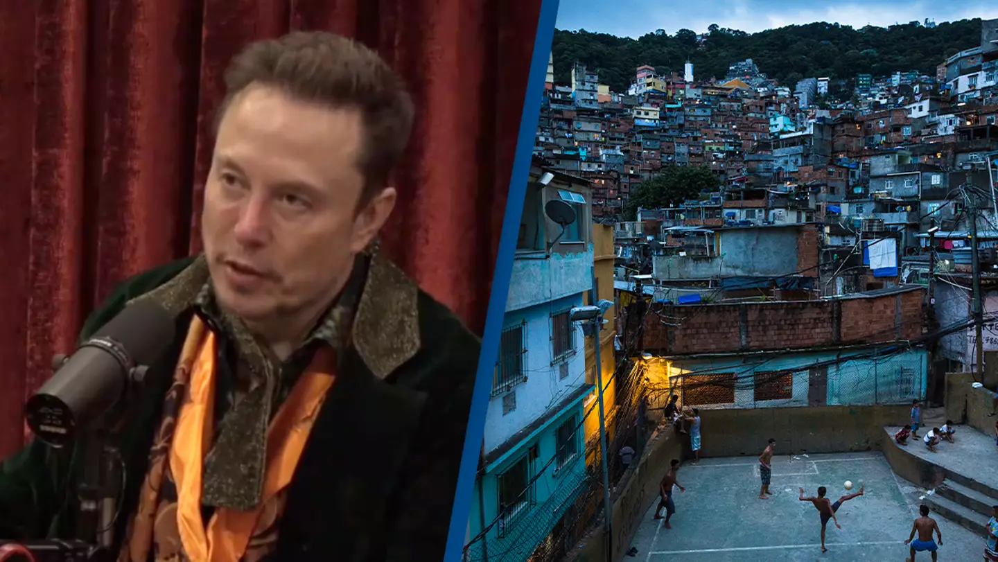 Elon Musk believes Earth could hold 80 billion people without destroying the rainforest