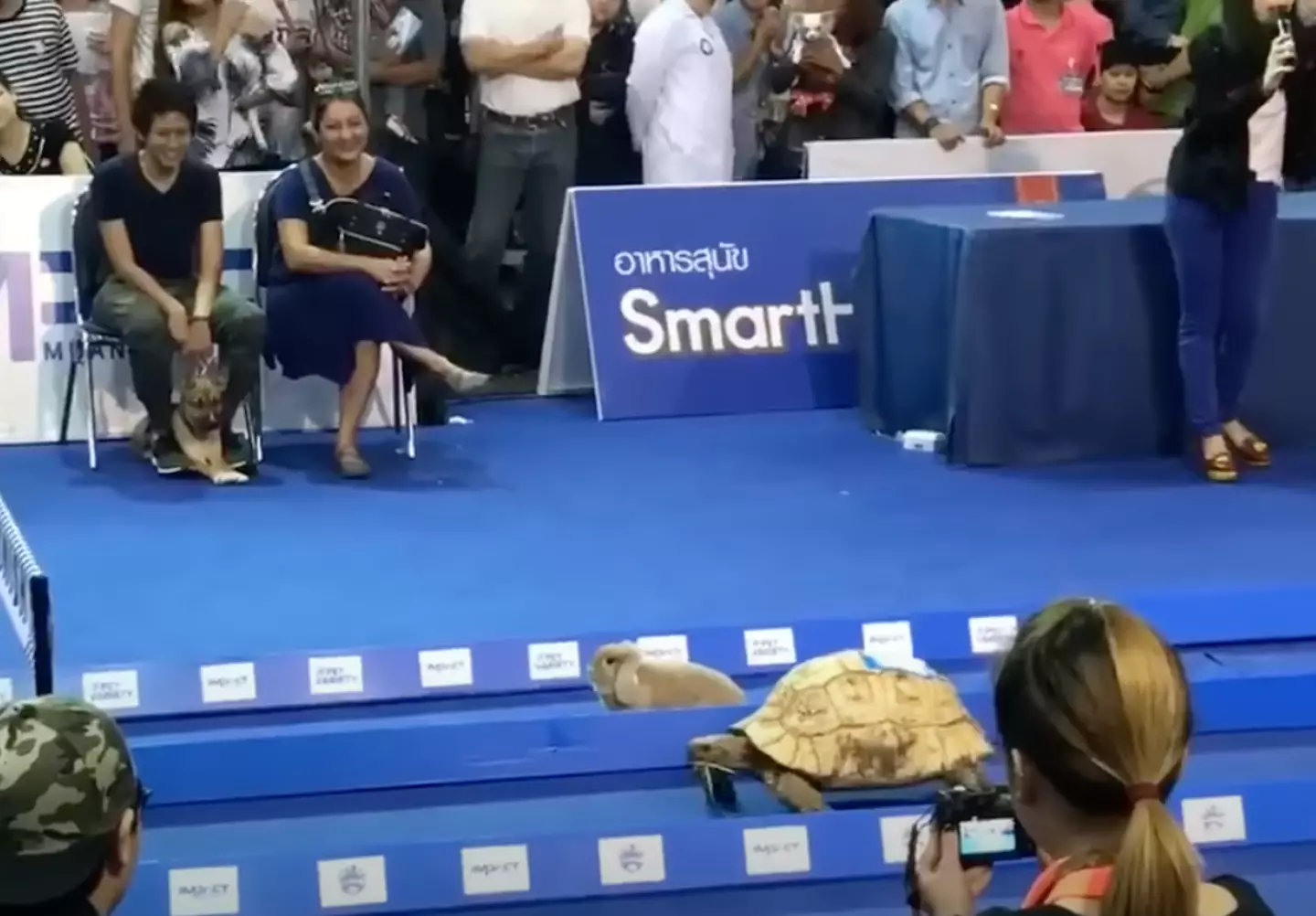 The two legacy rivals faced off in front of an excited crowd (YouTube/Nick Sina)