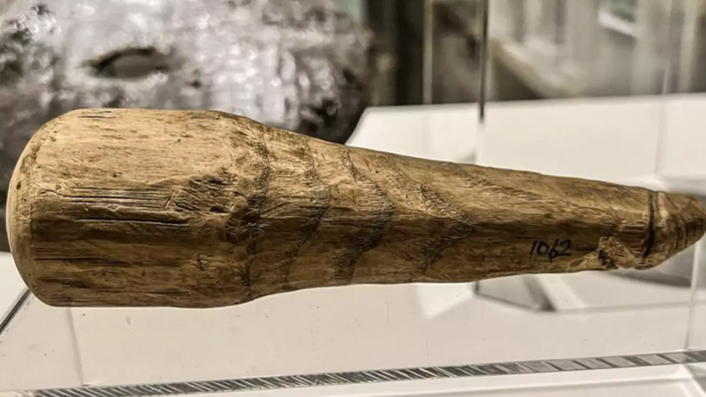 2,000-year-old dildo uncovered by scientists in ancient Roman ruins
