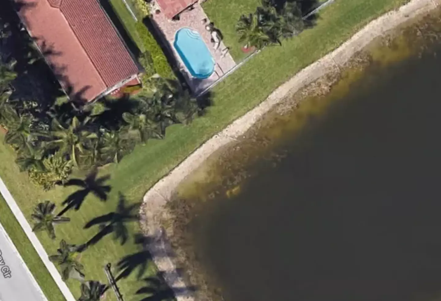 Moldt's remains were found in a submerged car, which was visible on Google Earth.