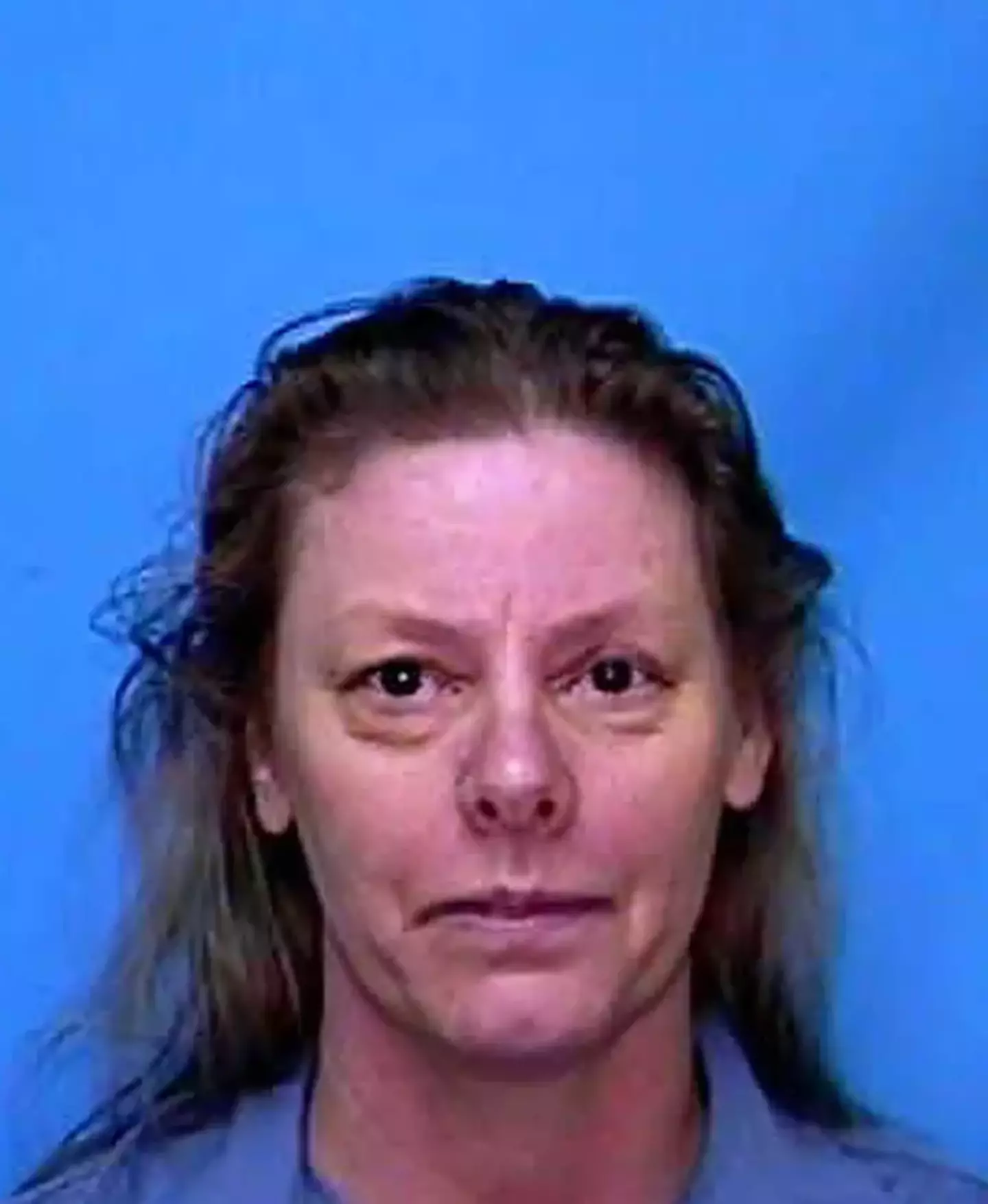 Wuornos was executed on October 9 2002, aged 46 (Florida DOC/Getty Images)