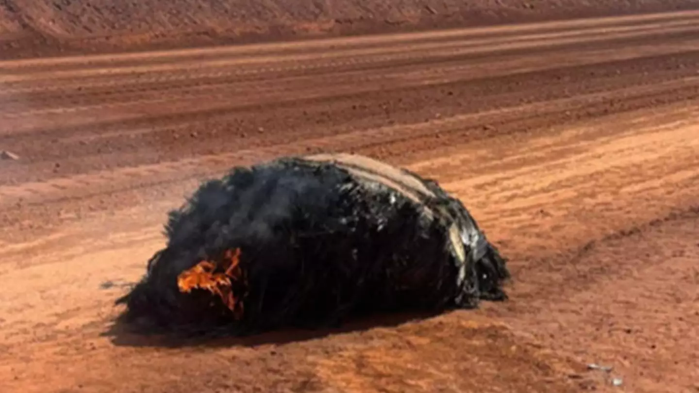 Mysterious smouldering object lands in Australian Outback as experts give theories on what it could be