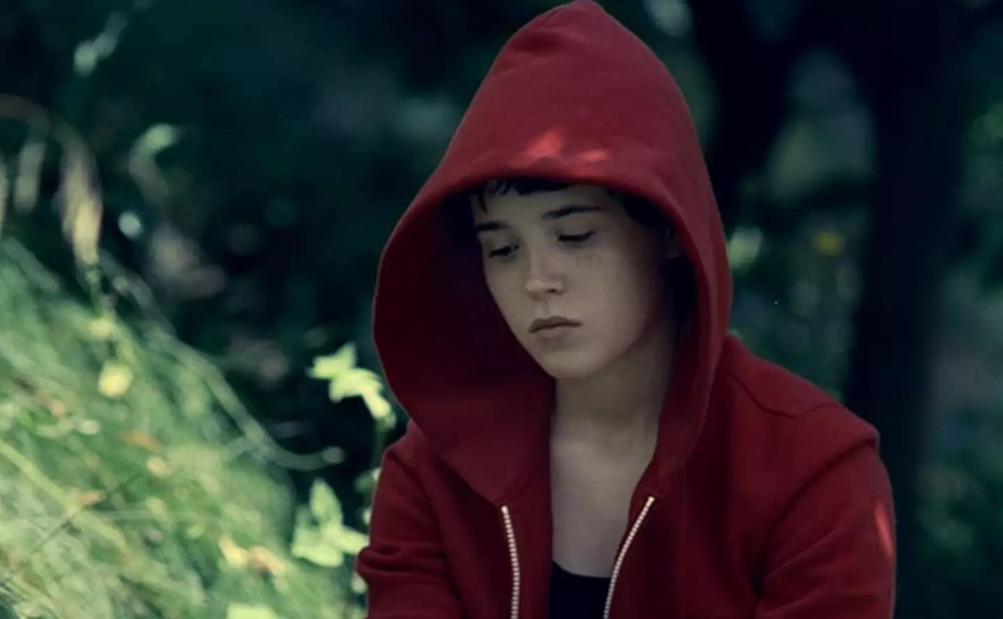 Elliot Page played the role of Hayley Stark in 'Hard Candy'.