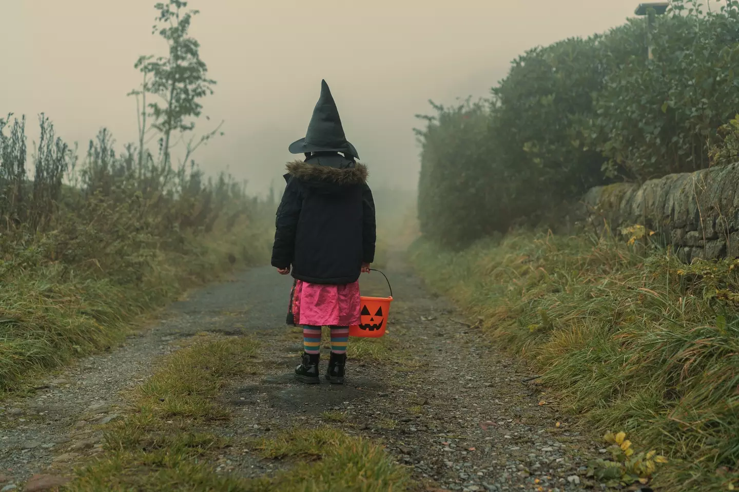 A child possibly looking into the distance reflecting on the crime they may have just committed - taking all the sweets from a bucket outside a home on Halloween (Getty stock)