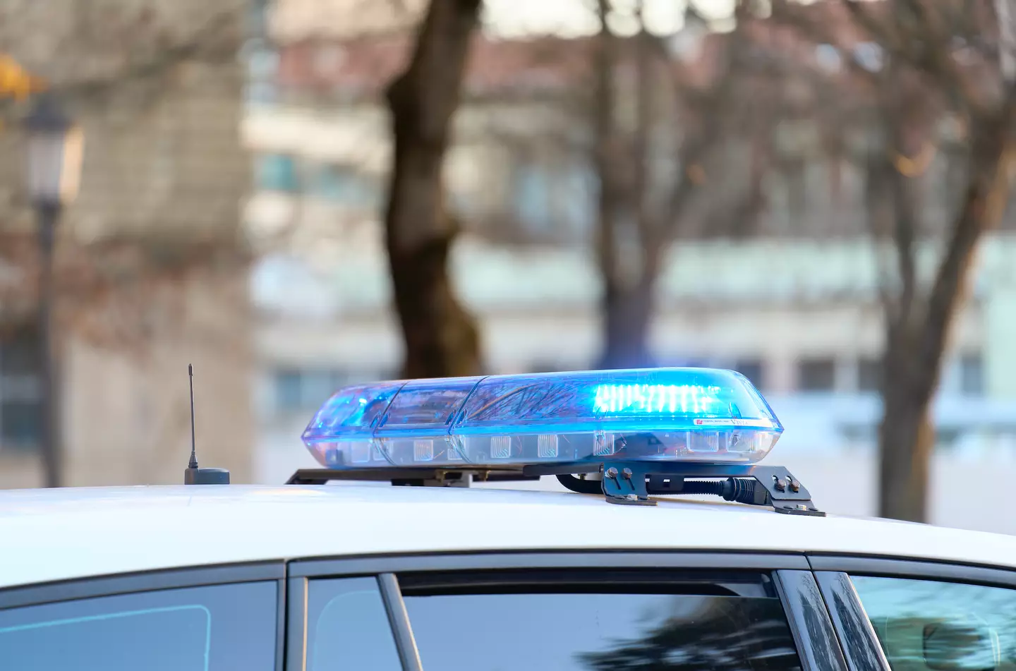 No charges were filed against the shooter.