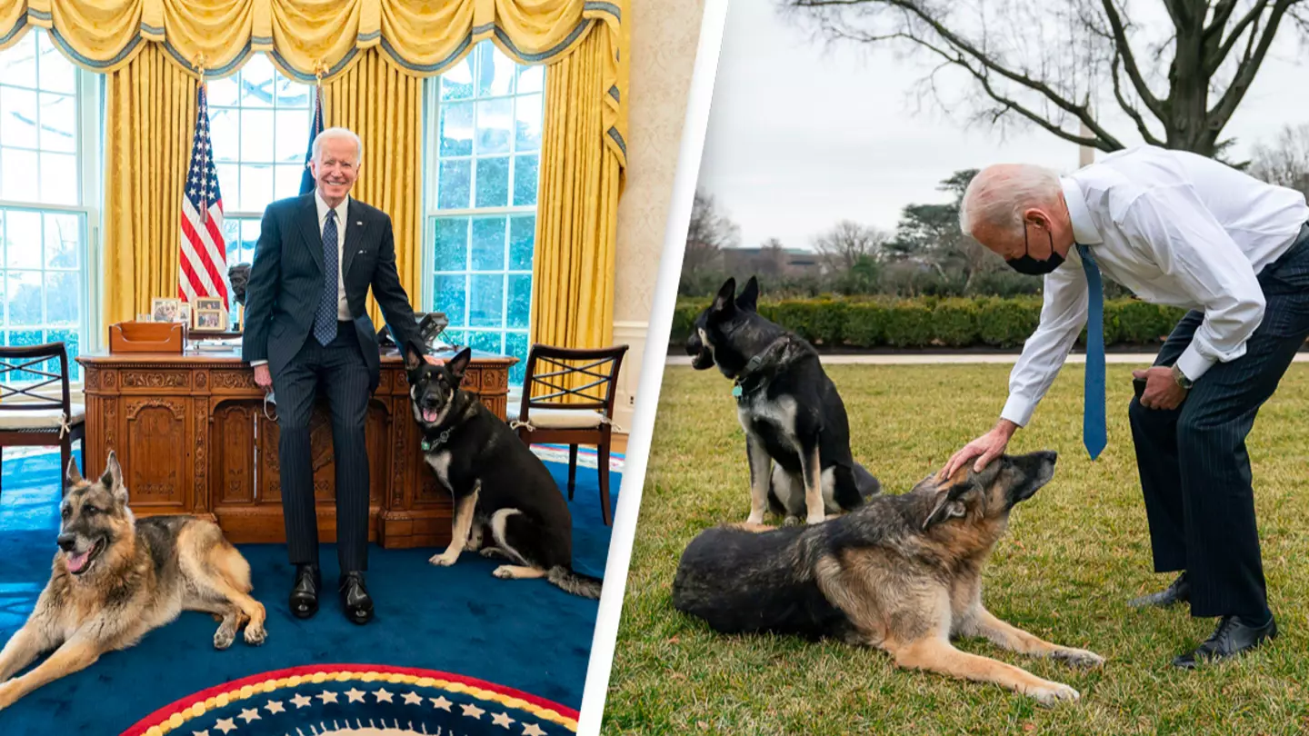 Joe Biden's Dog Attacked People For Eight Days Straight And Left Secret Service Member 'Severely' Injured