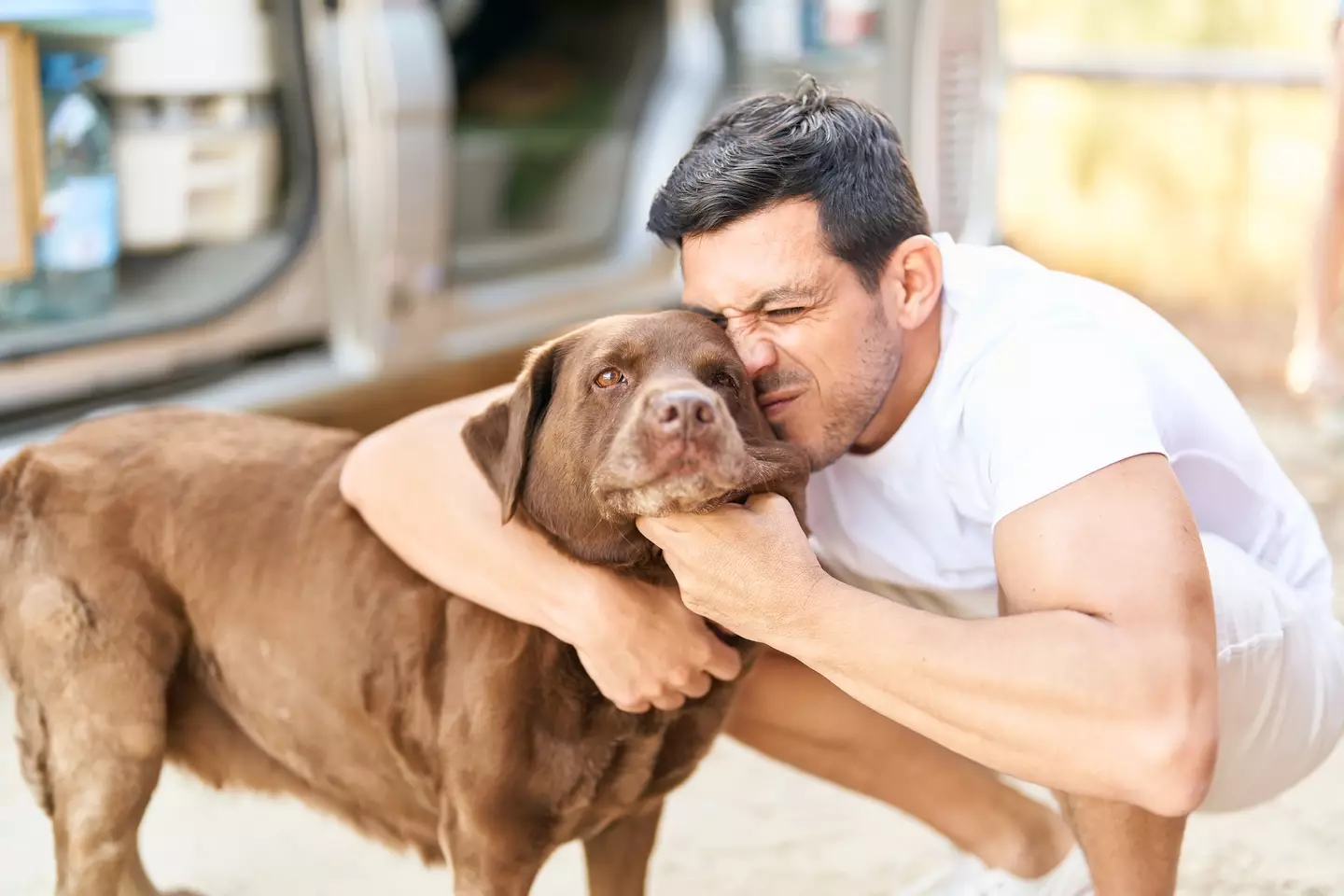 Larger dogs tend to live shorter lives (Getty Stock Image)