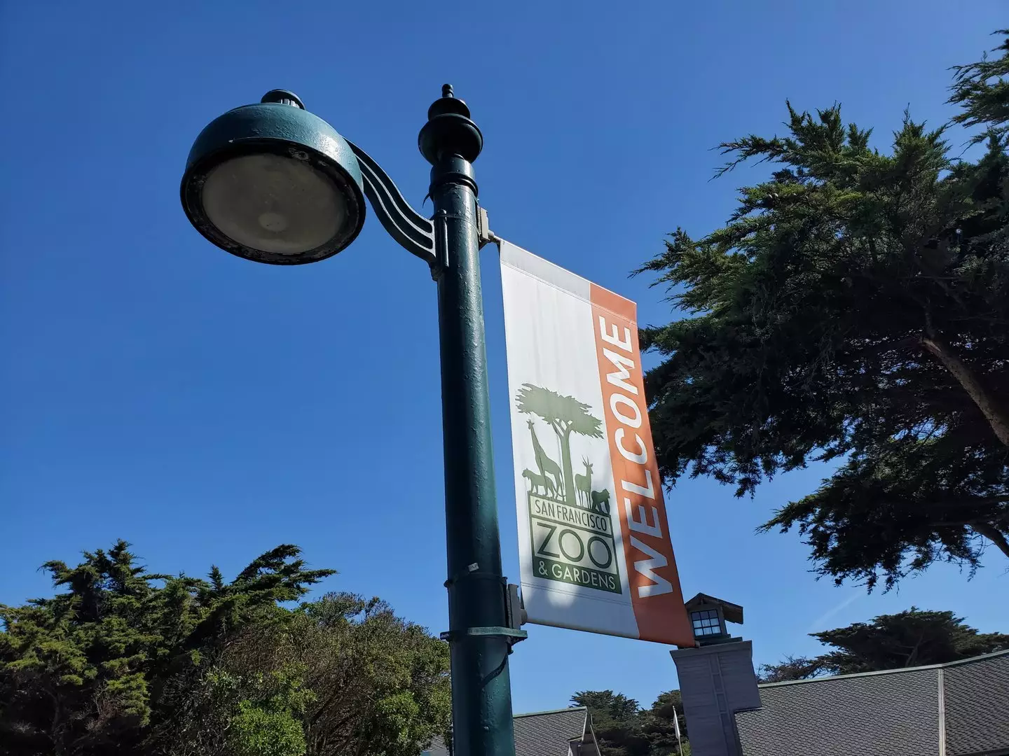 The incident took place at San Francisco Zoo (Smith Collection/ Gado/ Getty Images)
