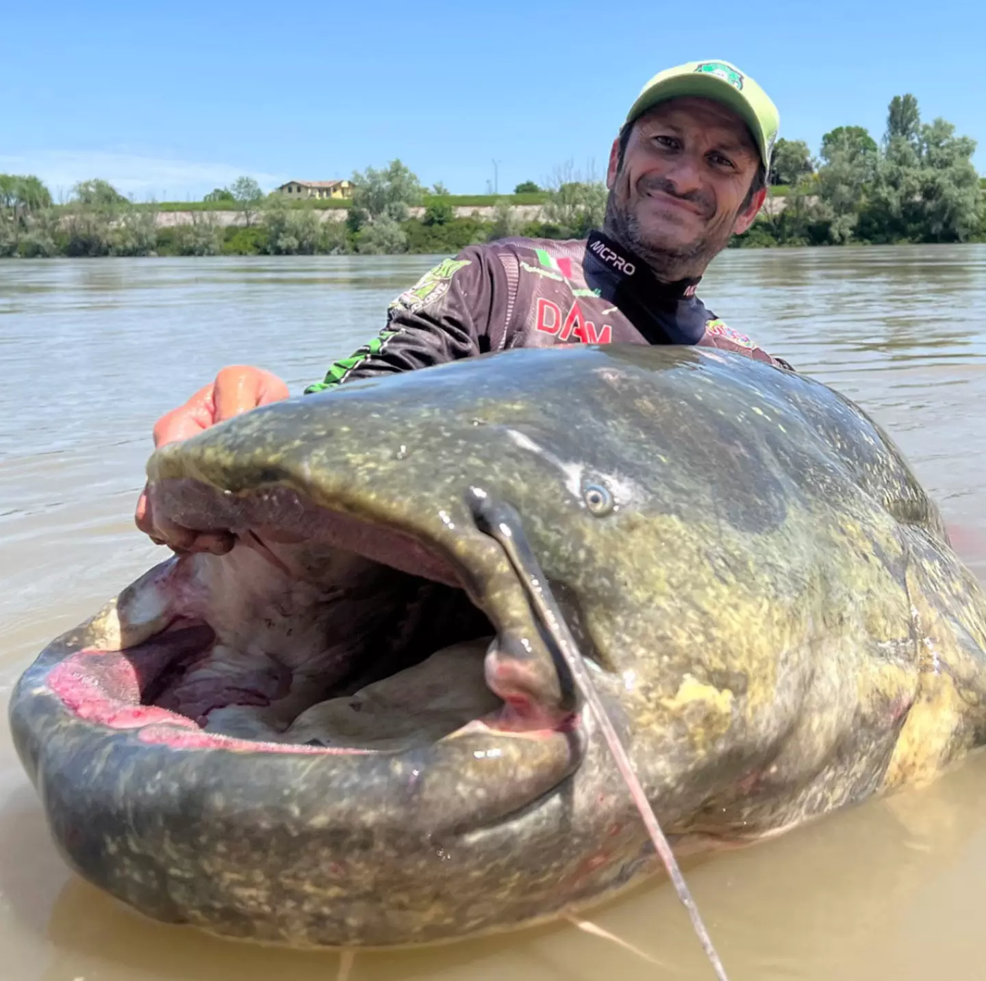 Allessandro Biancardi caught a huge catfish in Italy.