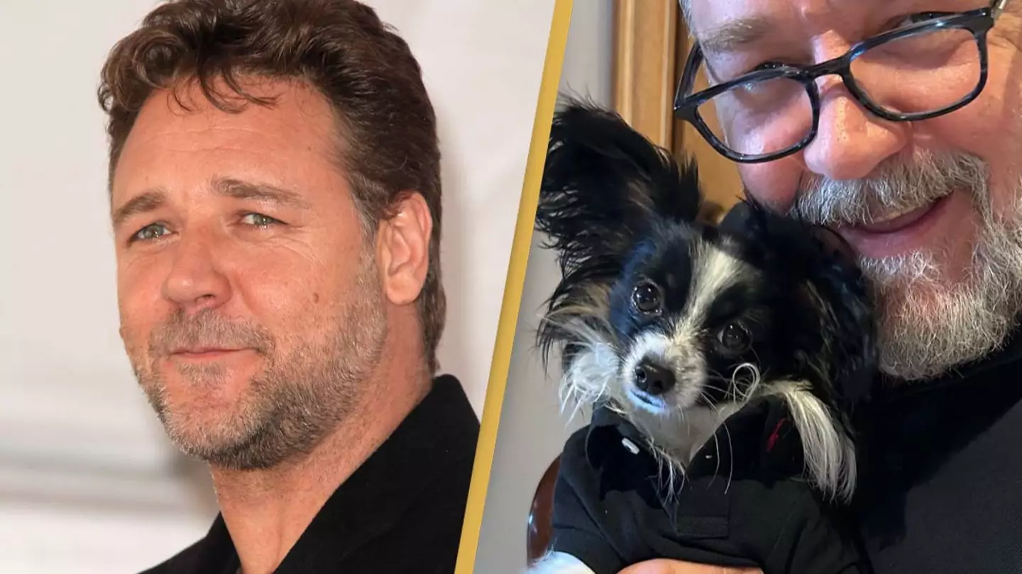 Russell Crowe's 16-month-old puppy died after being hit by truck as actor shares heartbreaking post